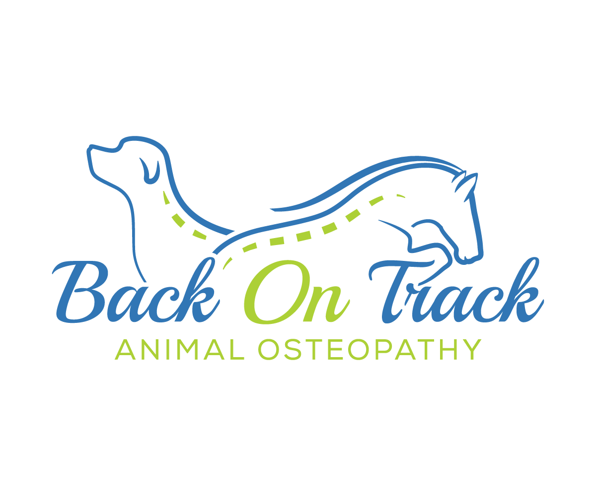 Logo Design by sangeloenriquez for this project | Design #10167617