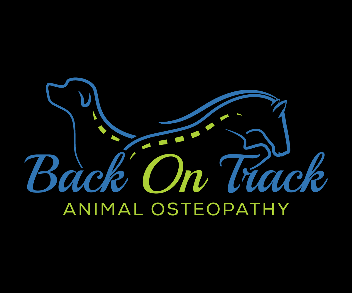 Logo Design by sangeloenriquez for this project | Design #10167649