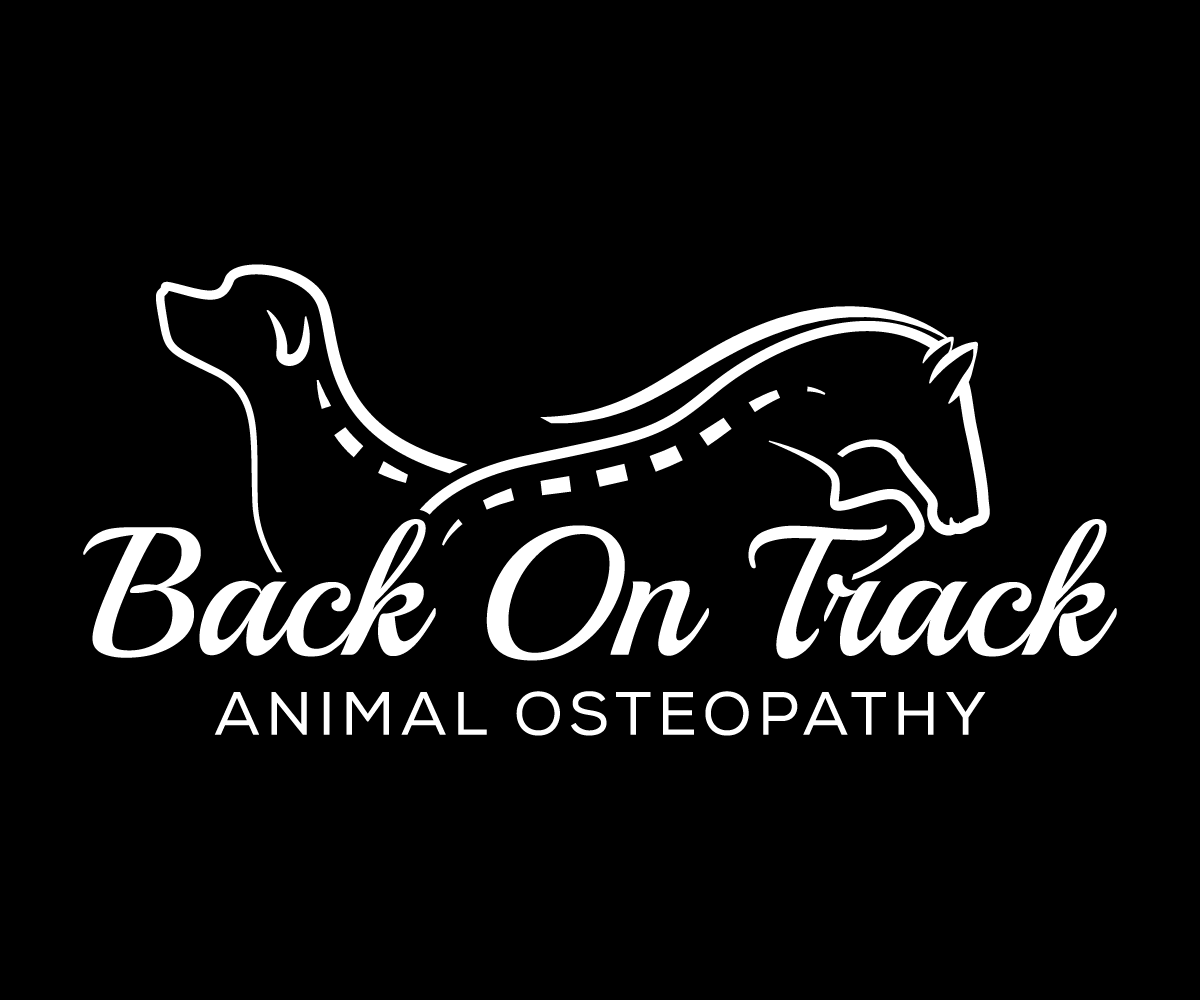 Logo Design by sangeloenriquez for this project | Design #10167710