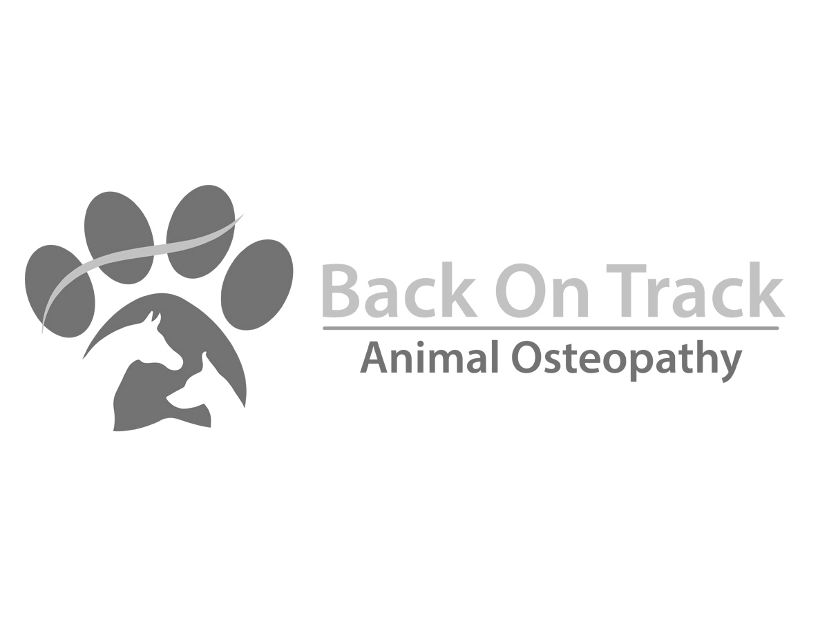 Logo Design by Elite Fox for this project | Design #9929693