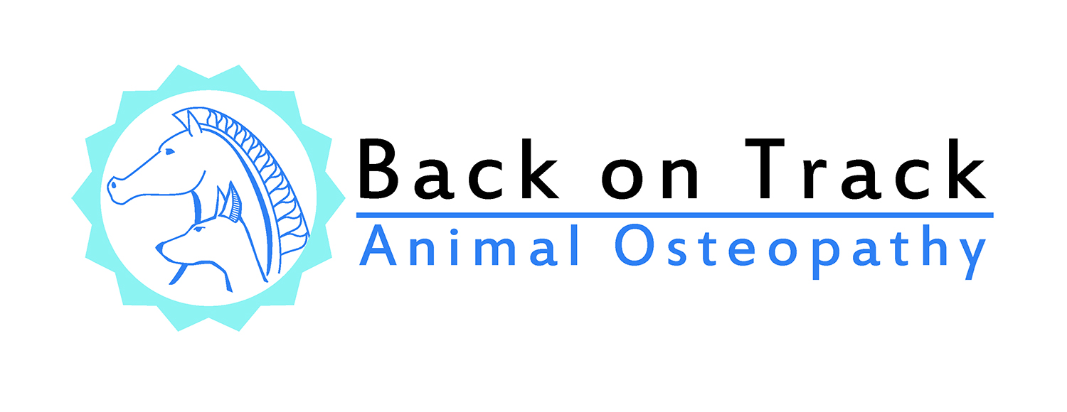 Logo Design by mrdegrange for this project | Design #9940613