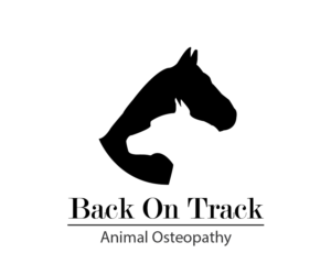 Logo Design by James Nguyen