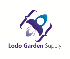 Logo Design by BangunDSG