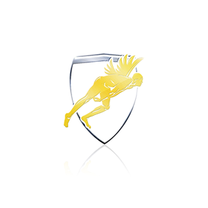 Logo Design by REX