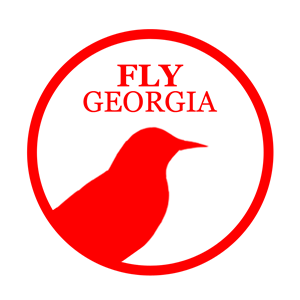 Logo Design by Marilena