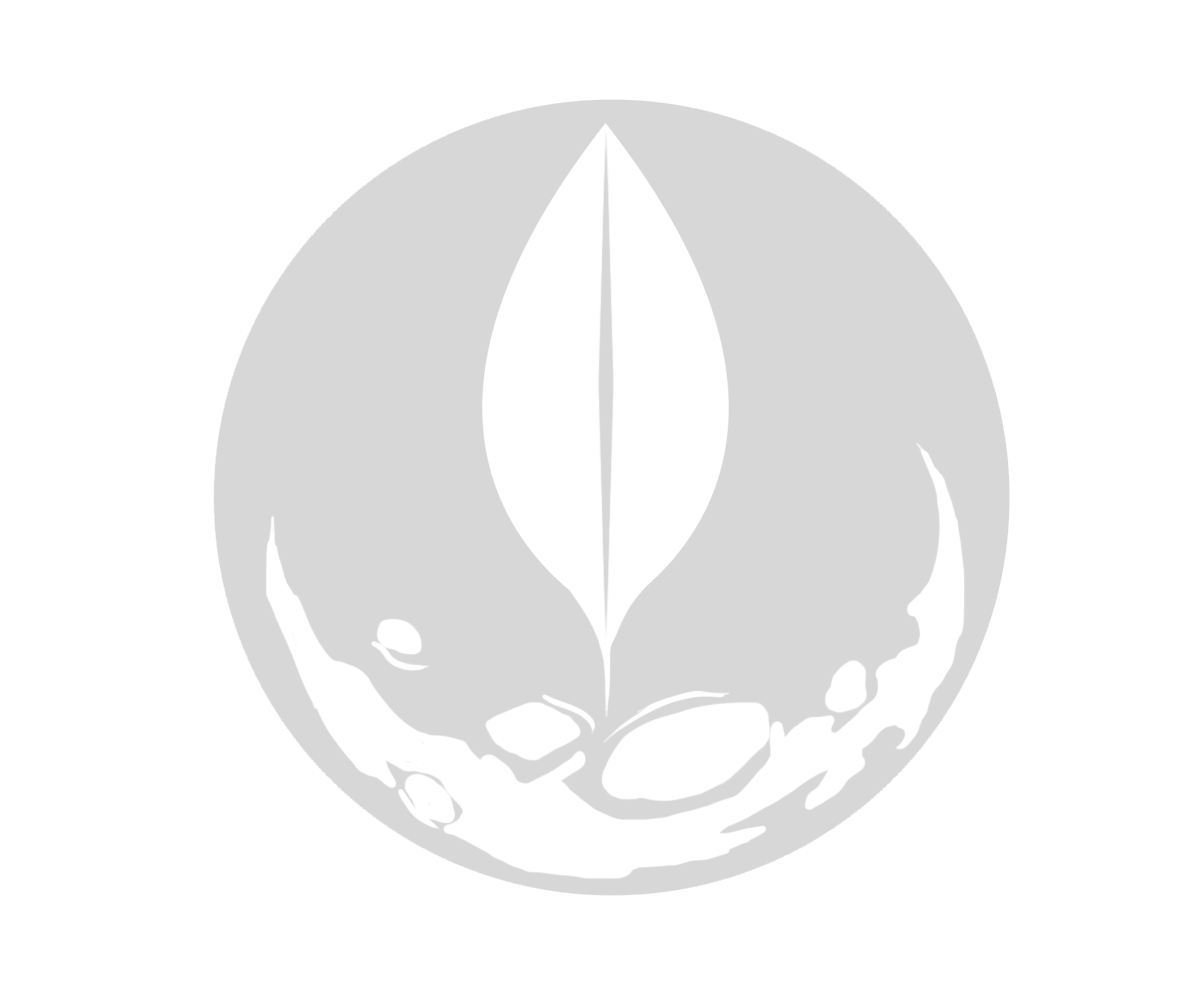 Logo Design by mromano for New Moon Clothing | Design #2161940