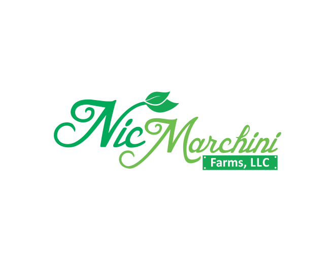 Logo-Design von rsetiawan für dieses Projekt | Design #9866075