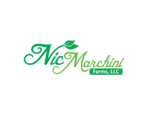 Logo Design by rsetiawan