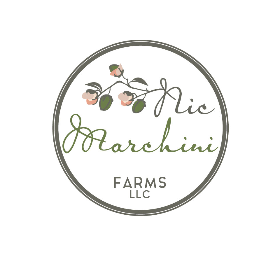 Diseño de Logo por designstarla para este proyecto | Diseño #9939707