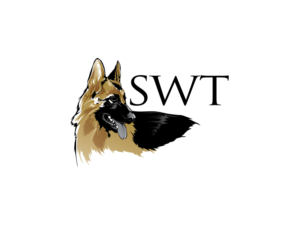 Logo Design by blue eye