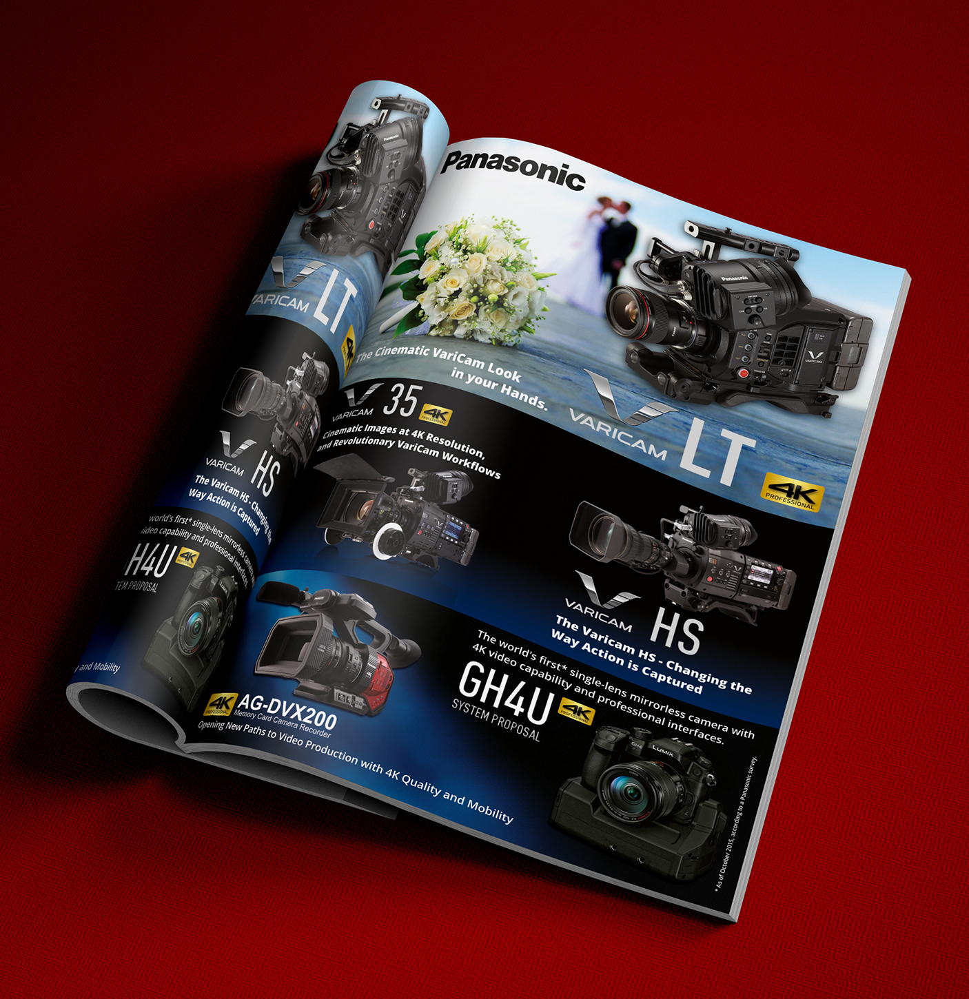 Design Publicitaire par ALSADESIGN pour Pro Video Systems | Design #9885196