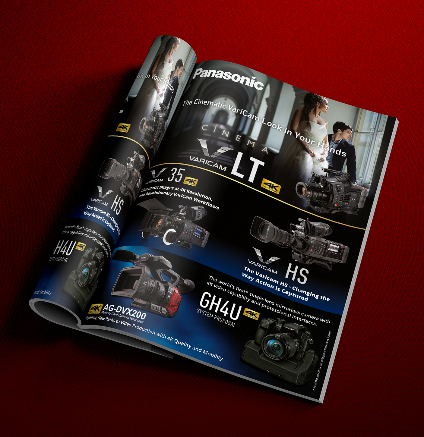 Design Publicitaire par ALSADESIGN pour Pro Video Systems | Design #9885252