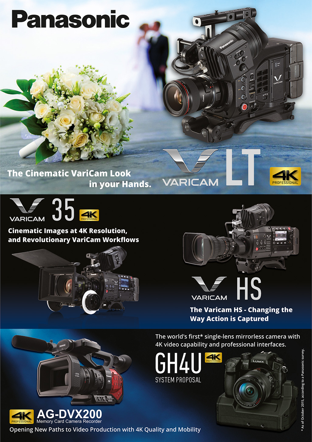 Advertisement Design by ALSADESIGN for Pro Video Systems | Design #9885258
