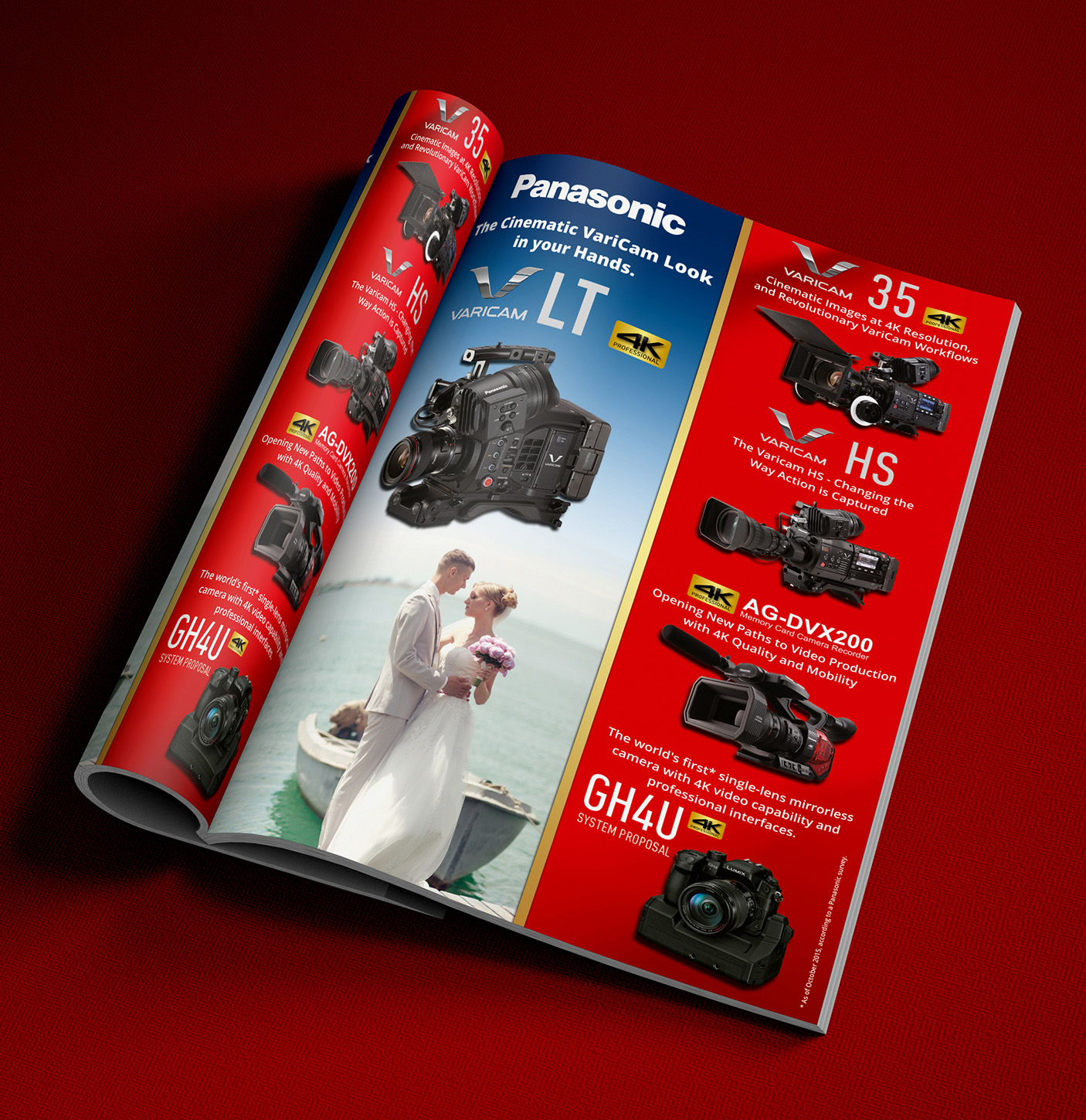 Diseño Publicitario por ALSADESIGN para Pro Video Systems | Diseño #9892071