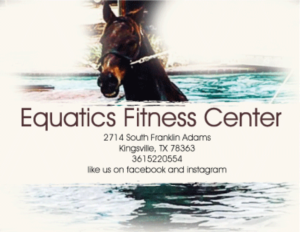 Diseño de Postal por lana para Fithorse by Equatics Fitness Center | Diseño: #10073257