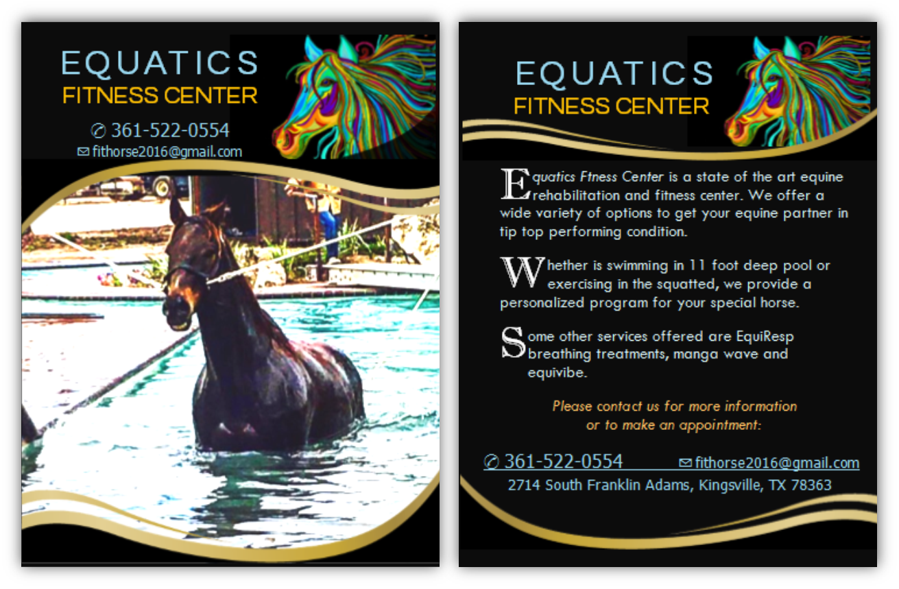 Postcard Design by citygirl17 for Fithorse by Equatics Fitness Center | Design #10008797