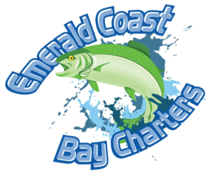 Logo Design by steinism