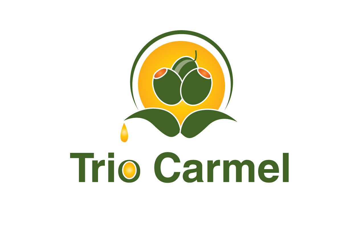 Logo Design by SHRAVAN D.S for this project | Design #438980