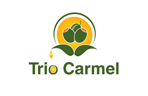Logo Design by SHRAVAN D.S