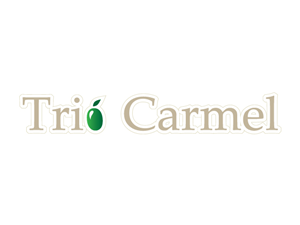 Logo Design by Anthony for this project | Design #448033