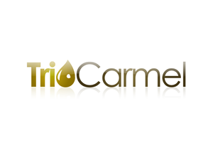 Logo Design by HyperTime Studio for this project | Design: #447400