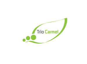 Logo Design by viniandra for this project | Design #439211
