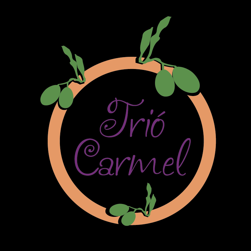 Logo Design by Ziff Designs for this project | Design #452867