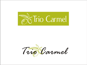 Logo Design by Savitra for this project | Design: #438372