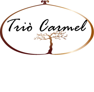 Logo Design by zaiats for this project | Design #449116