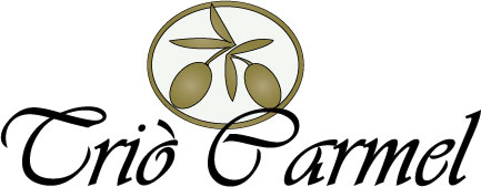 Logo Design by zaiats for this project | Design #449138
