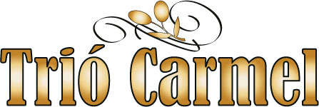 Logo Design by zaiats for this project | Design #449403