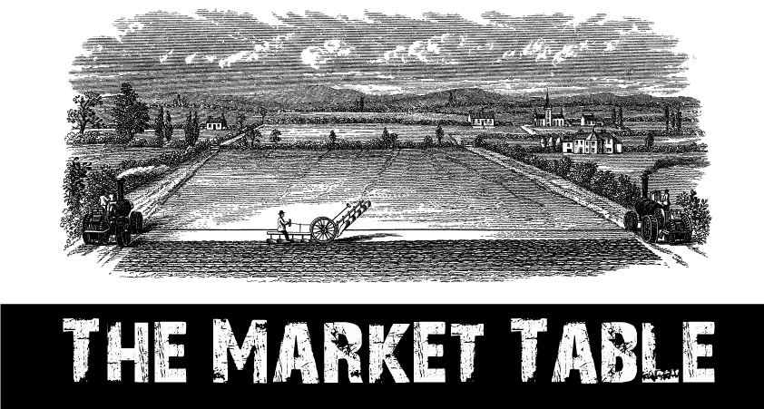 Logo Design by Hitesh C. Satasiya for this project | Design #10381913