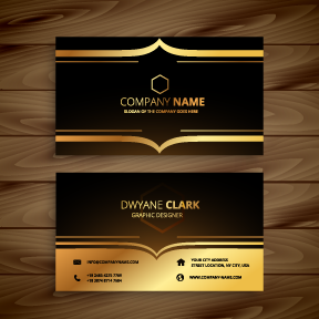 Business Card Design by DG Software Technology for this project | Design: #9921237