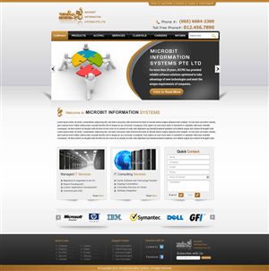 Web Design by Sbss for Microbit Information Systems Pte Ltd | Design: #2155455