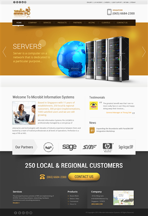 Web Design by PP for Microbit Information Systems Pte Ltd | Design #2161380