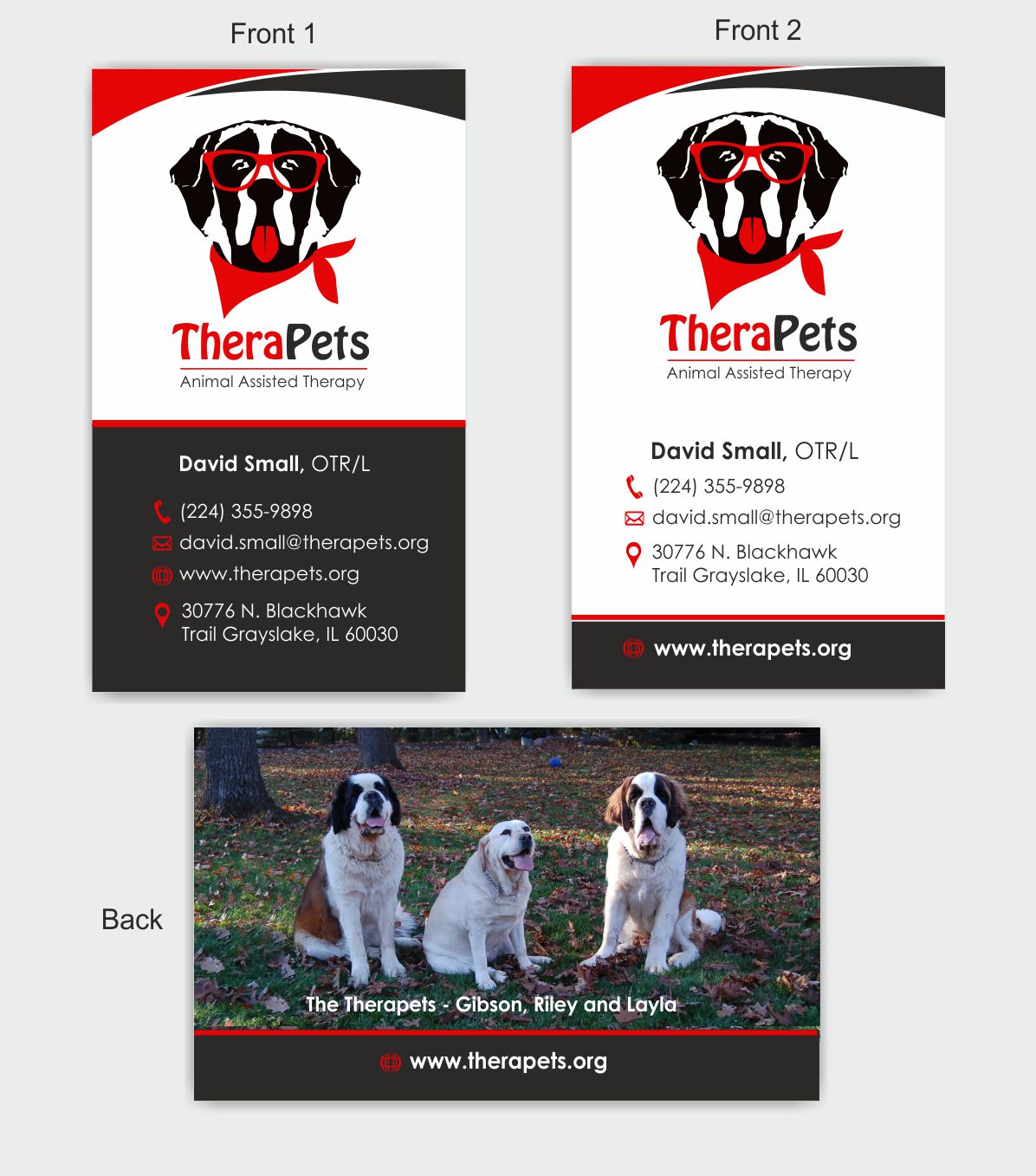 Business Card Design by IneseRo for hockeyjerseyoutlet.com | Design #9903109