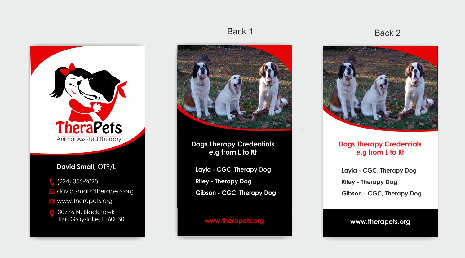 physical therapy business card
