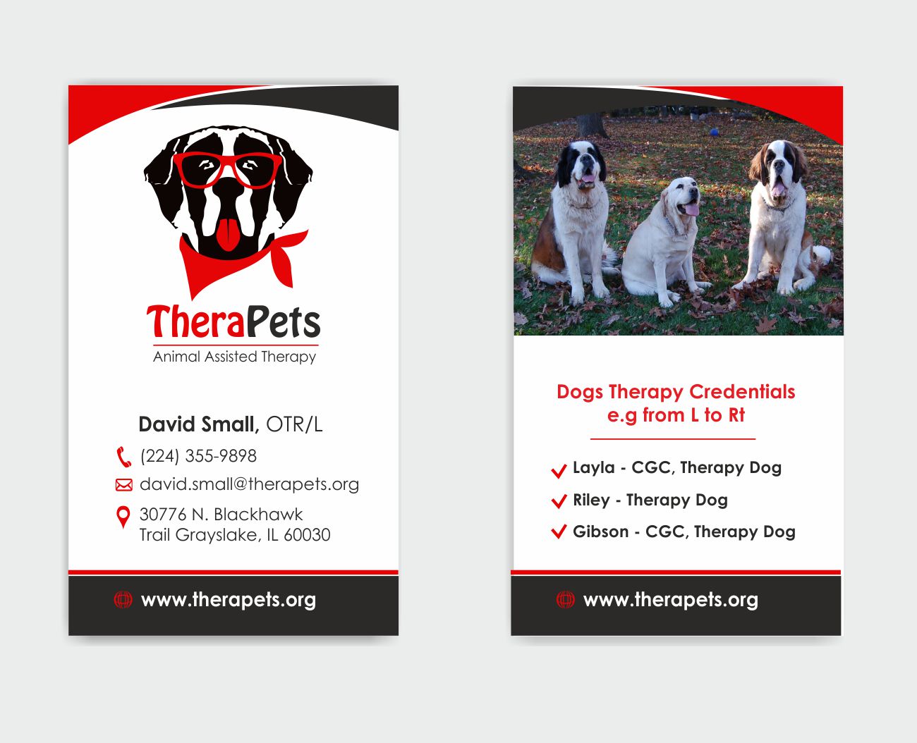 Business Card Design by IneseRo for hockeyjerseyoutlet.com | Design #9913894