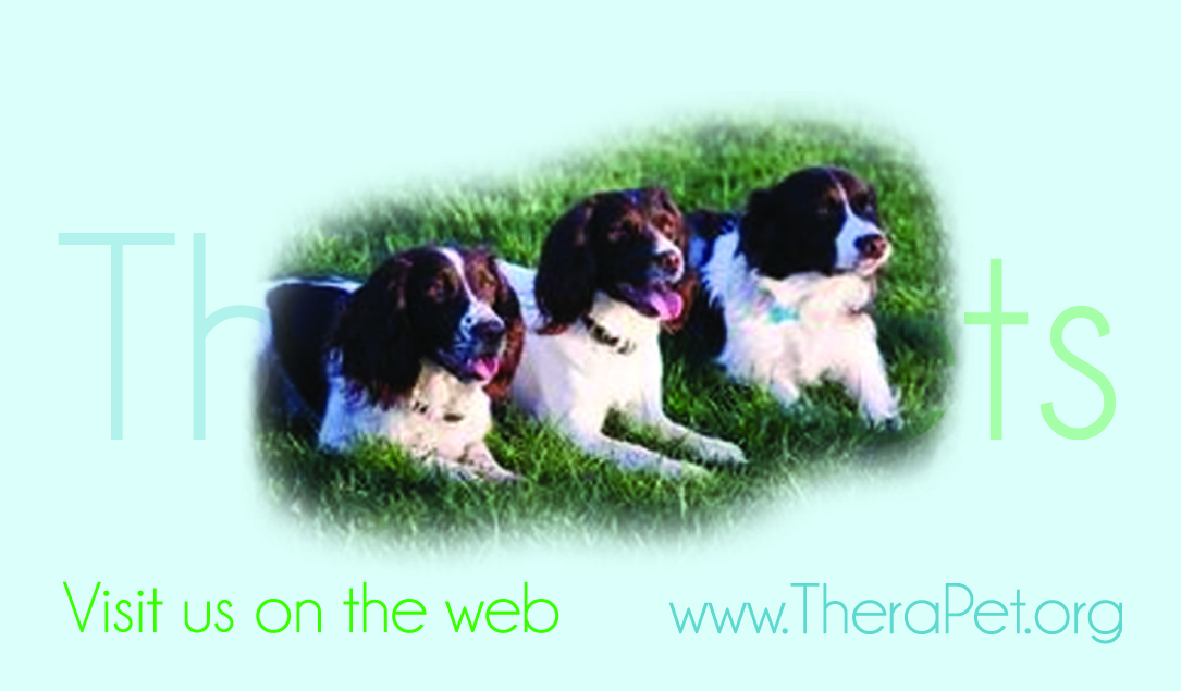 Business Card Design by Brent for hockeyjerseyoutlet.com | Design #9925204