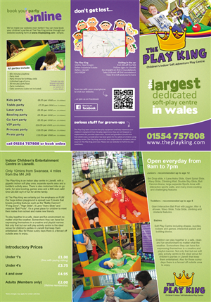 Brochure Design by LovePrint Studio Creative for Eddies Play Ltd - The Play KIng | Design: #2175405