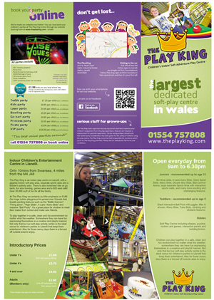 Brochure Design by LovePrint Studio Creative for Eddies Play Ltd - The Play KIng | Design: #2198485