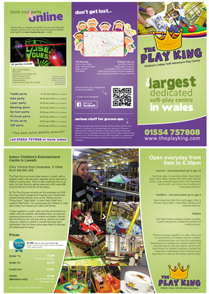 Brochure Design by LovePrint Studio Creative for Eddies Play Ltd - The Play KIng | Design: #2208502