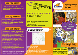 Brochure Design by Cobe for Eddies Play Ltd - The Play KIng | Design: #2169552