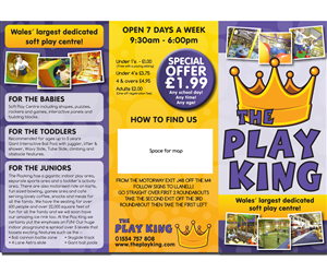 Brochure Design by TheStableDesign for Eddies Play Ltd - The Play KIng | Design: #2173296