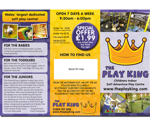 Brochure Design by TheStableDesign for Eddies Play Ltd - The Play KIng | Design #2173297