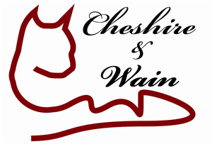 Logo Design by Jack Didit