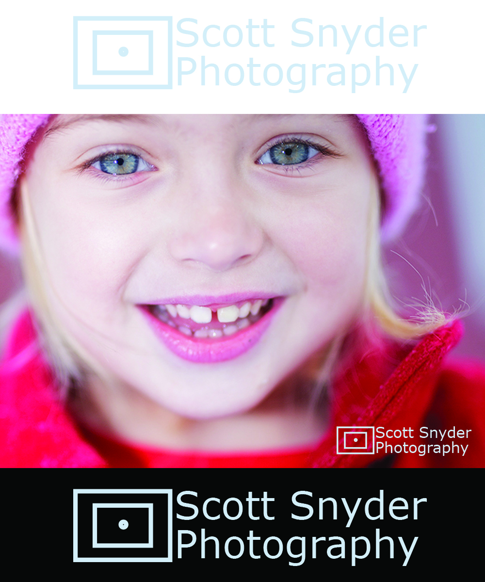 Logo-Design von seyon für Scott Snyder Photography | Design #10034537