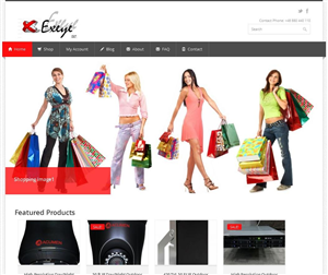 Wordpress Design by sandyIN