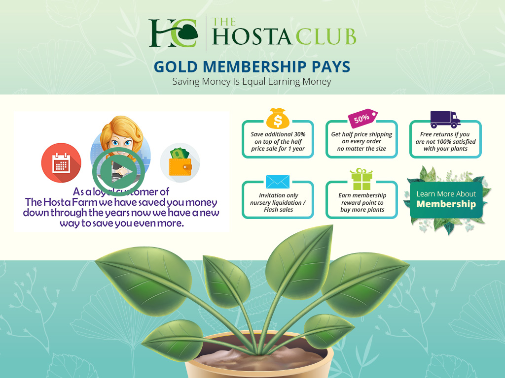 Landing Page Design by Kian Ng for Garden and Lifestyle LLC | Design #9893313
