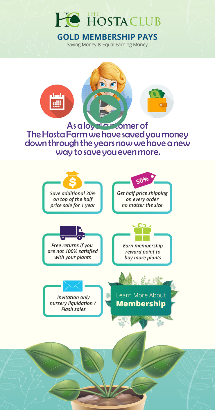 Landing Page Design by Kian Ng for Garden and Lifestyle LLC | Design #9897468